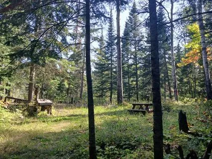 Solar Plexus Chakra Meditation