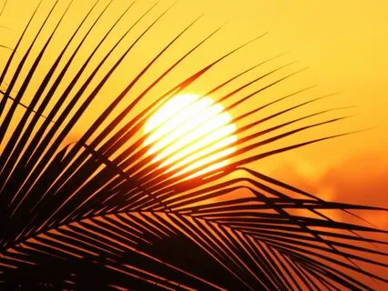 Solar Plexus Chakra Miracles 126.22, 320, 528 Hz Tuning Fork