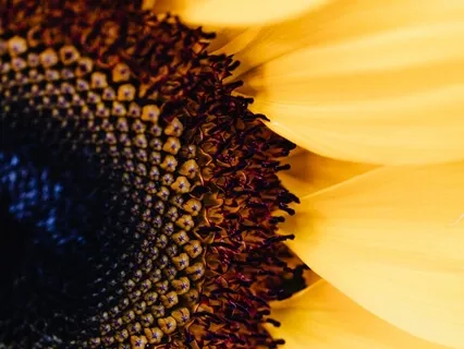 Solar Plexus Chakra Sleep Affirmation Meditation