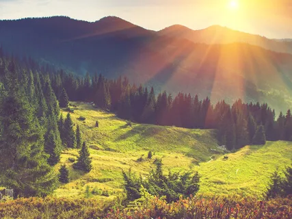 Solar Plexus Chakra Therapy