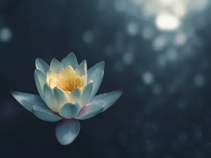 Solar Plexus Chakra - Yellow Sun