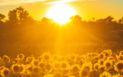 Solar Plexus Healing