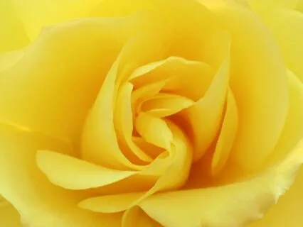 Solar Plexus healing & ALigment