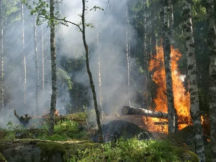 Solar Plexus Healing Meditation