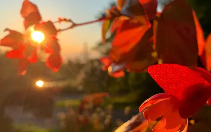 Solar Plexus Meditation 