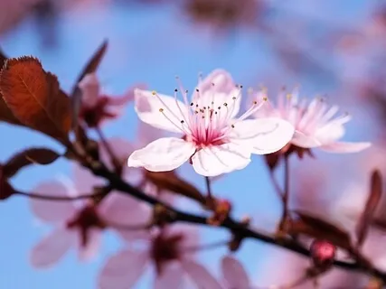 Solar Plexus Practice