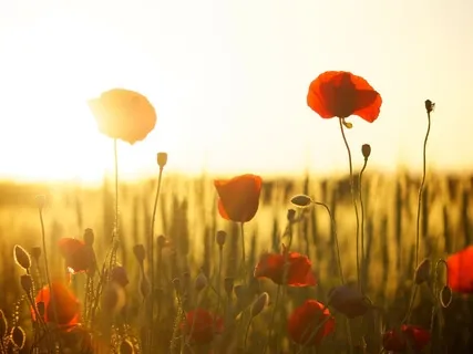 Relaxing Solar Plexus Music