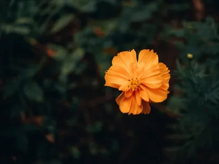 Balance & Connect To Your Solar Plexus