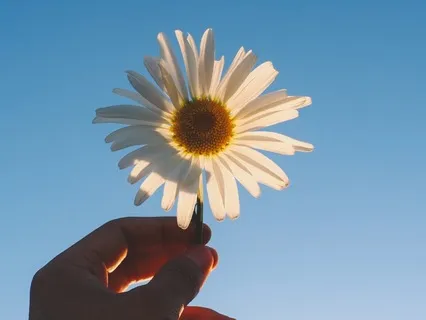 Solar Radiance - Sound Healing For Beautiful Mornings