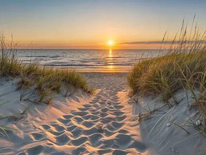 Solar Recharge | A Healing Sunlight Meditation