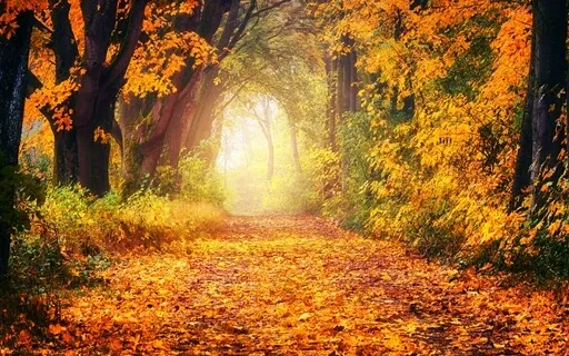 Solely Savasana- Clarity