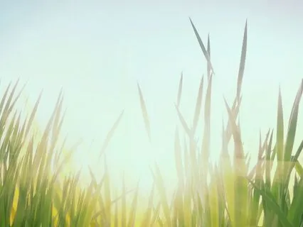 Solfeggio 174 Hz Healing | Pain Relief & Grounding