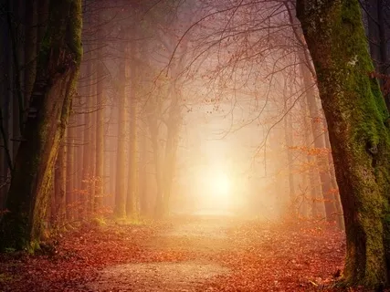 Solfeggio 528Hz Music - Ancient DNA Repair Frequency