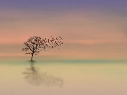 Solfeggio 963 Hertz Buoy Potency