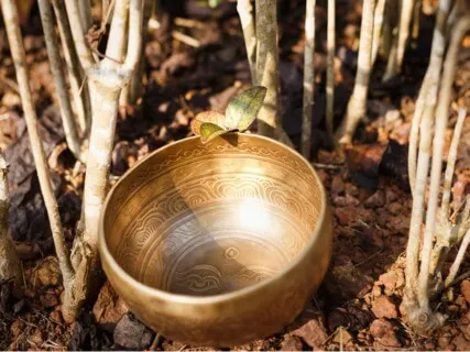 Solfeggio Atonement To Raise Your Vibration (528Hz Sound Healing)