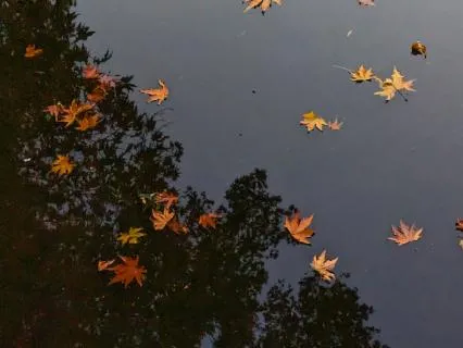 Solfeggio: Calm The Overthinking Mind
