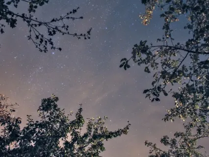 Solfeggio Chimes For Calm (Long Version)