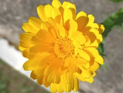 Solfeggio Frequencies Whispers Secrets