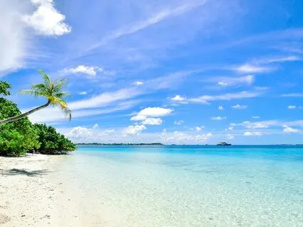 Solfeggio Healing Music For Positivity