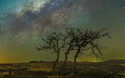 Solfeggio Healing Music