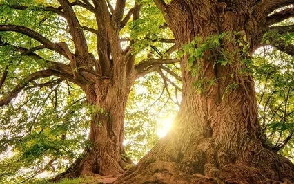 Solfeggio Soundscape