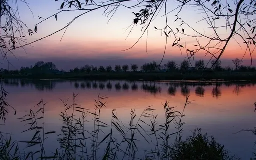 Solfeggio Waves & Oceanic Sounds For Deep Rest