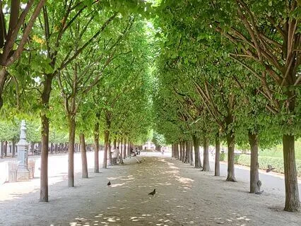 Loneliness | Relaxing Piano Music