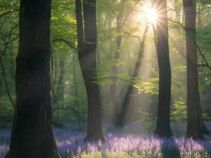 Solo Piano For Calm Reflection - 'Elemental Waltz'