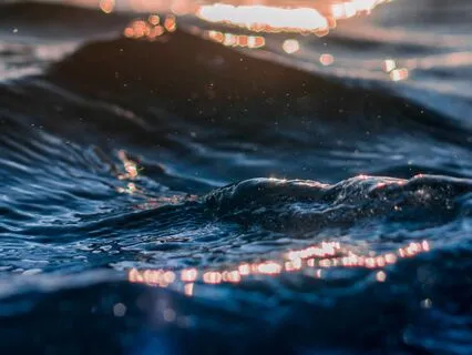 Winter Solstice Gathering Meditation - December 2024