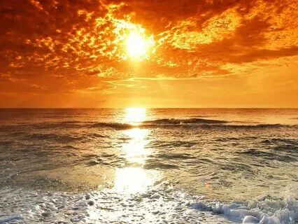 Solstice Radiance: Embracing the Sun's Light Within