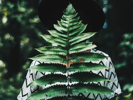 Solstice: Return To Pachamama