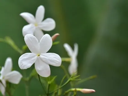 Yoga Nidra: Finding Balance