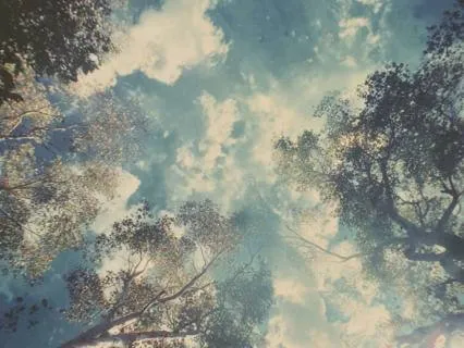 Somatic Acceptance Practice