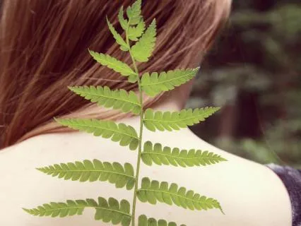 Somatic Alignment Practice