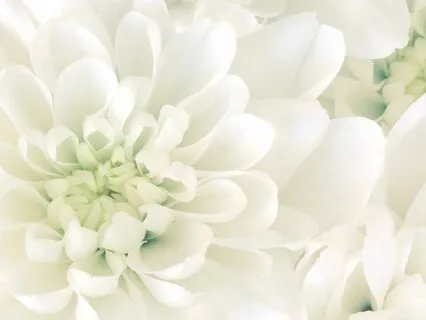 Somatic Awareness: A Brief IFS Check-In