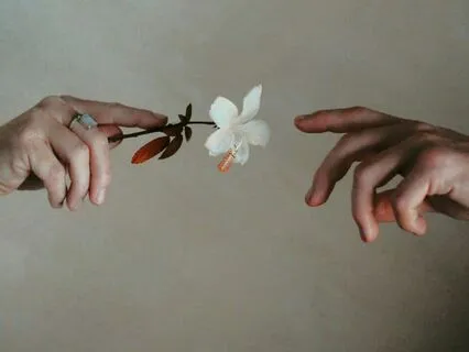 Somatic Body Meditation