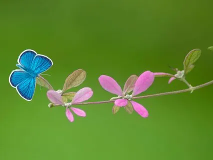 Somatic Breathwork For Rebirth And Transformation