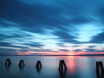 Somatic Dream States