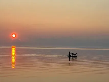 Somatic Process For Post Travel (Business Or Pleasure)