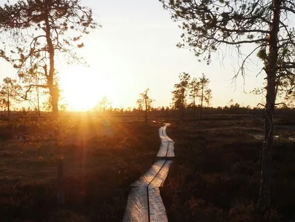 SomaticExploration- Octavia Butler's Earthseed:God Is Change