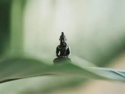 Somatic Forest Bath | Visualization & Breathwork