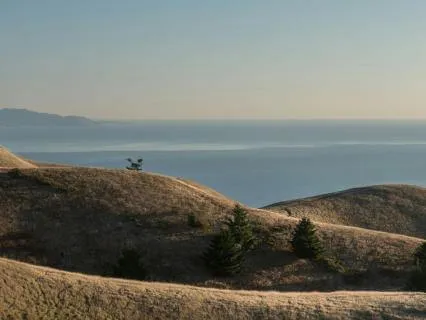 Somatic Full Body Breathing: Accessing Subtle Joy Within