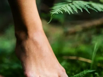 Somatic Grounding Meditation For Emotional Stability