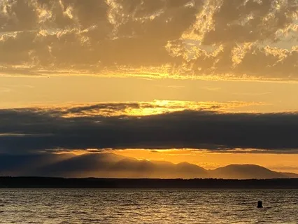 Somatic Healing For Balancing The Nervous System