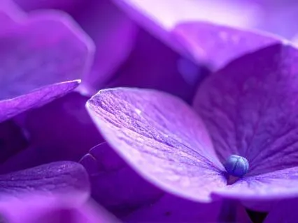Somatic Healing Meditation For The Nervous System