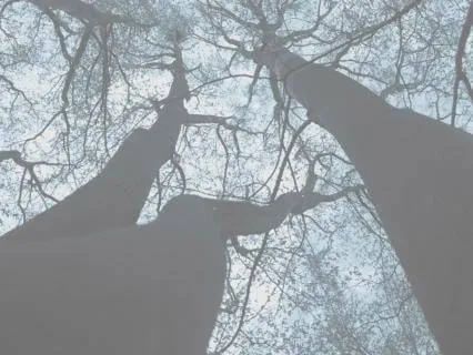 Somatic Meditation For Anxiety Relief