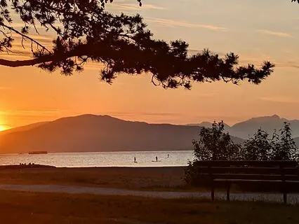 Somatic Meditation For Freeze [With Live Tamboura]