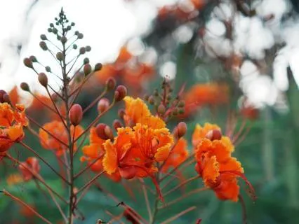 Somatic Meditation For Grief Relief And Heart Connection
