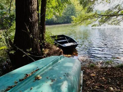 Somatic Exercise For Spine And Jaw Release