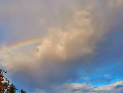 Somatic Meditation For The Flight Response [With Tamboura]